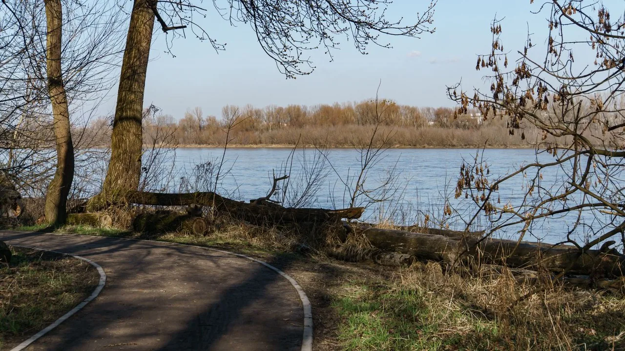 Biegacz na trasie wzdłuż Wisły w Warszawie podczas zachodu słońca